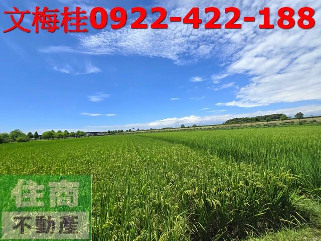 宜蘭壯圍農地-5