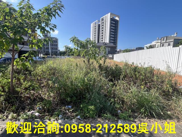 湖口建地_住宅地-1