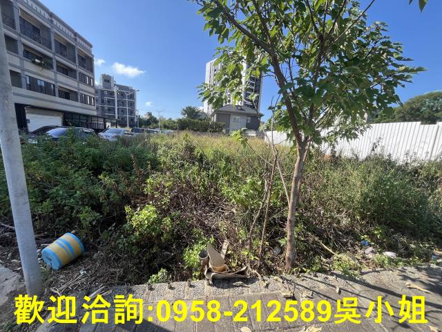 湖口建地_住宅地-6