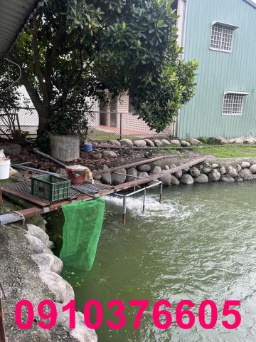 台中農地_休閒地_養殖地-7