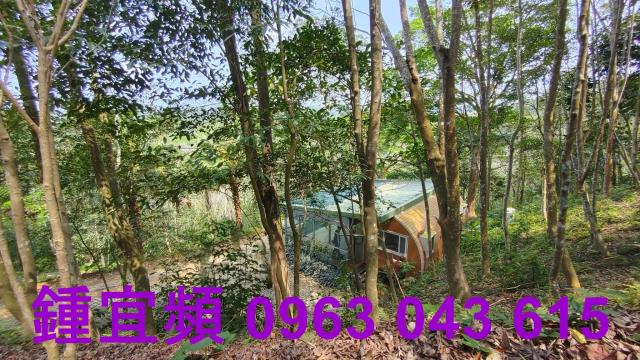 新竹北埔山坡地_休閒地_林地-12