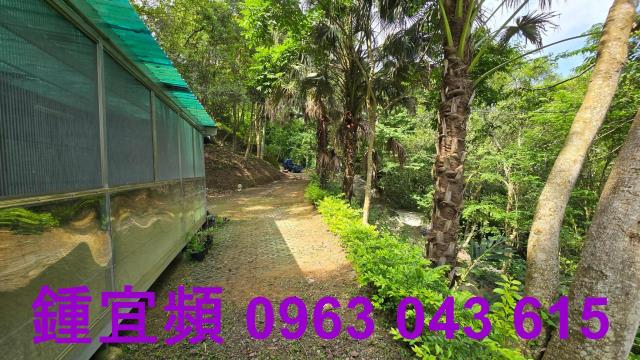 新竹北埔山坡地_休閒地_林地-13