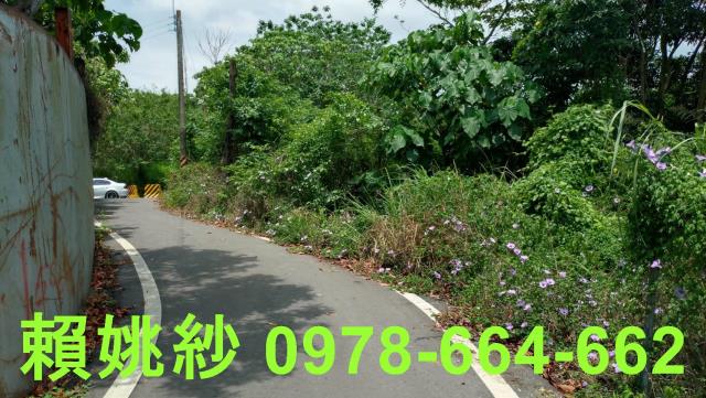 彰化社頭農地_山坡地-3