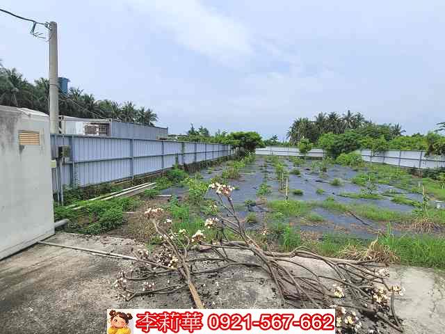 岡山農地-5