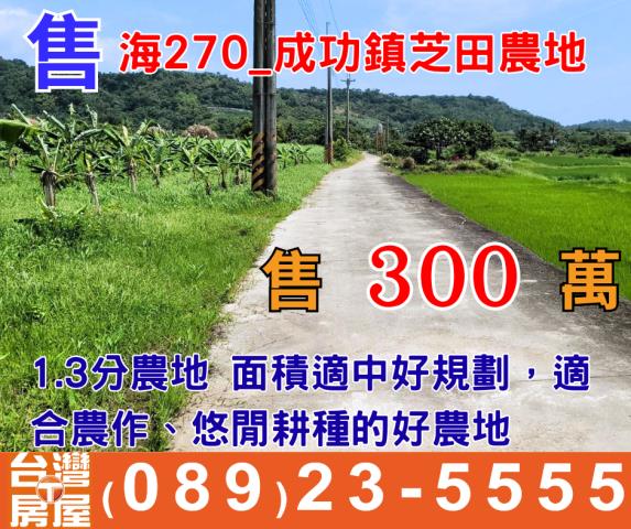 成功農地-1