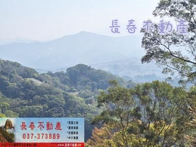 大湖農地_山坡地-1