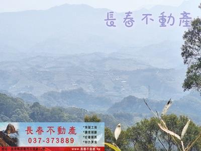 大湖農地_山坡地-2