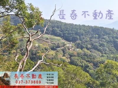 大湖農地_山坡地-3