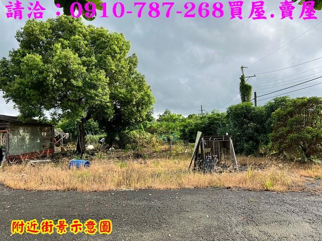 台南關廟農地_林地-14