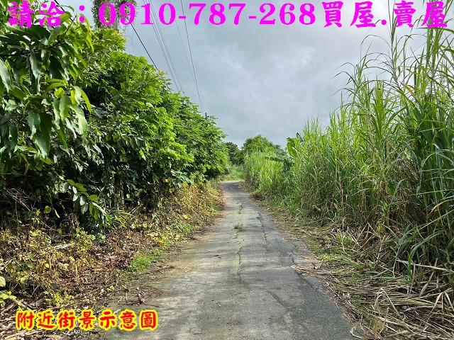 台南關廟農地_林地-15
