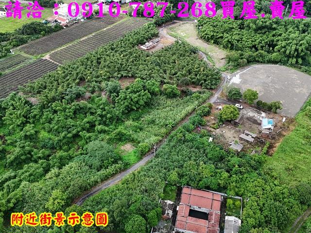 台南關廟農地_林地-4
