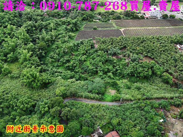 台南關廟農地_林地-5