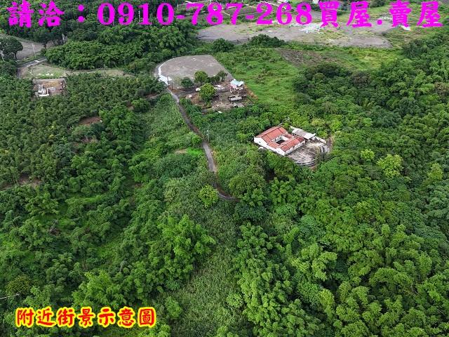 台南關廟農地_林地-7