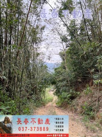苗栗銅鑼農地_建地_林地-2