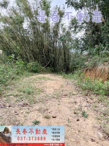 苗栗銅鑼農地_建地_林地-3
