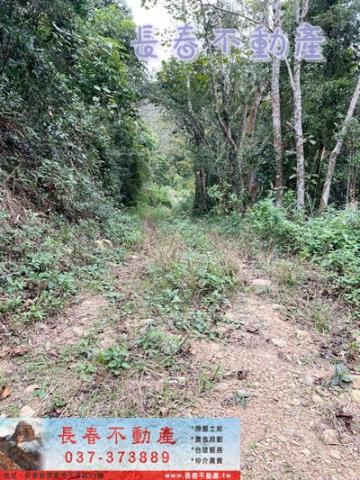 苗栗銅鑼農地_建地_林地-4