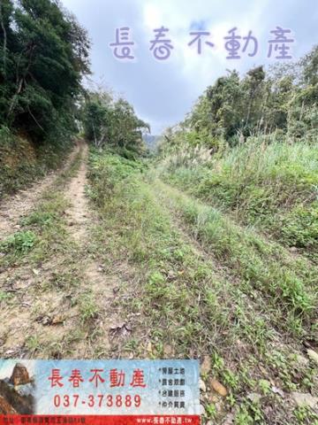 苗栗銅鑼農地_建地_林地-6