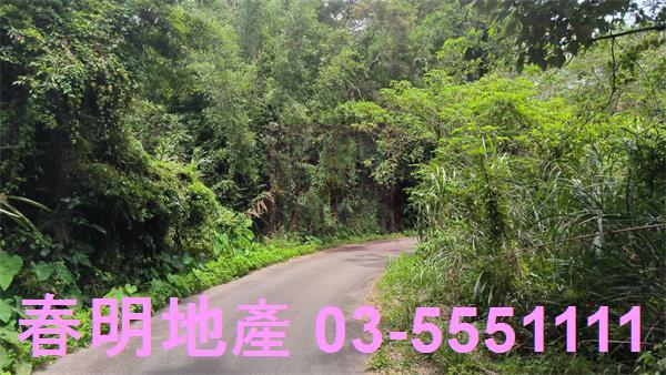 新竹竹東林地-2