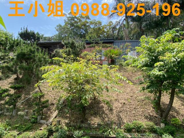 龜山農地-5
