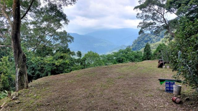 竹東農地-2