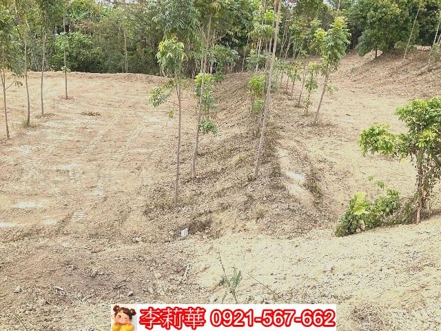 左鎮農地_建地-8