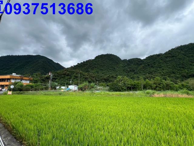 員山農地-9