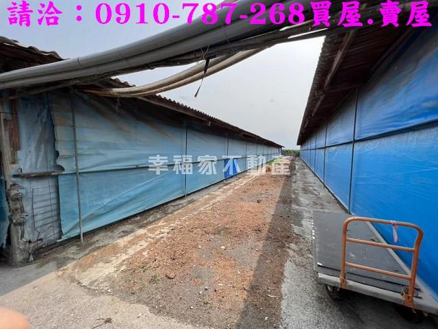 台南後壁農地-4