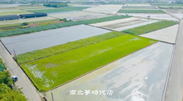 白河農地-3
