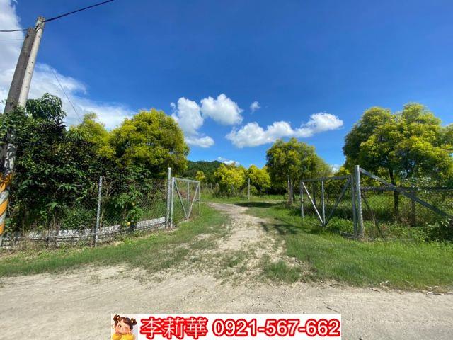六甲農地-8