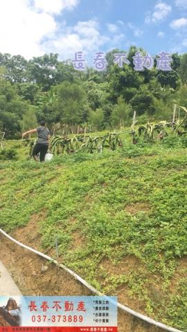 苗栗卓蘭農地_山坡地_休閒地-4