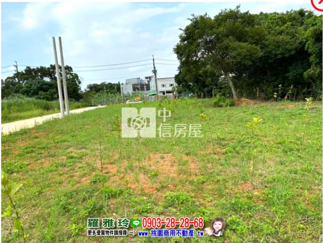 桃園平鎮農地-3