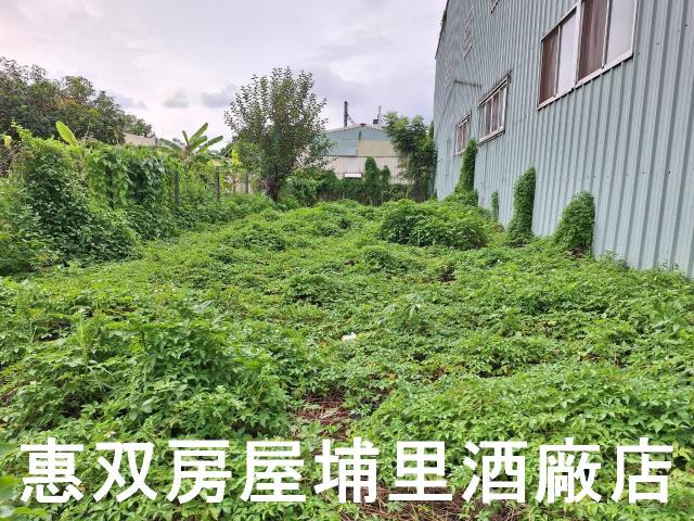 埔里建地-4
