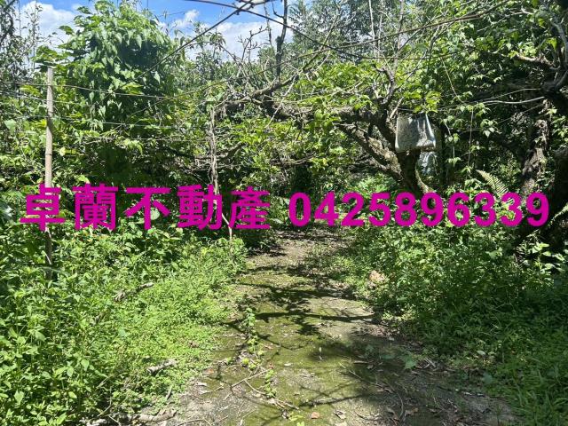卓蘭農地_山坡地_休閒地-4