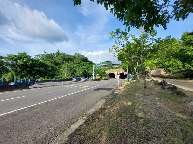 大內農地_山坡地_林地-14