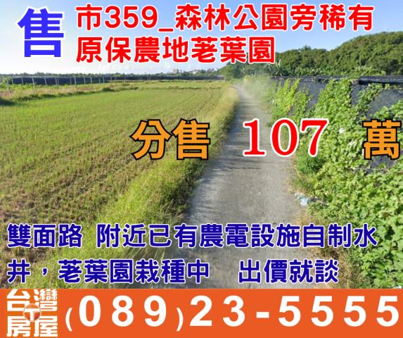 台東市農地-1