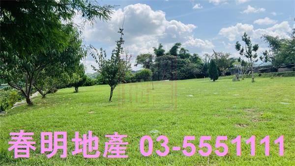 峨眉農地_林地-6