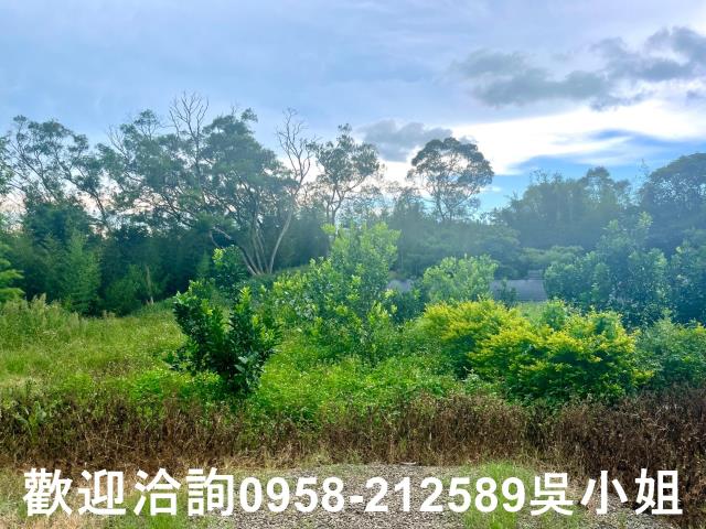 新竹新埔山坡地_休閒地-2