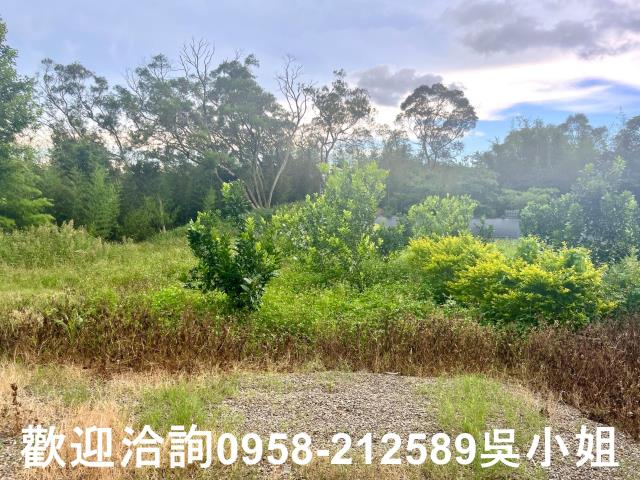 新竹新埔山坡地_休閒地-3