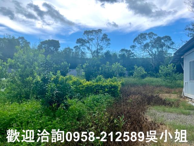 新竹新埔山坡地_休閒地-4