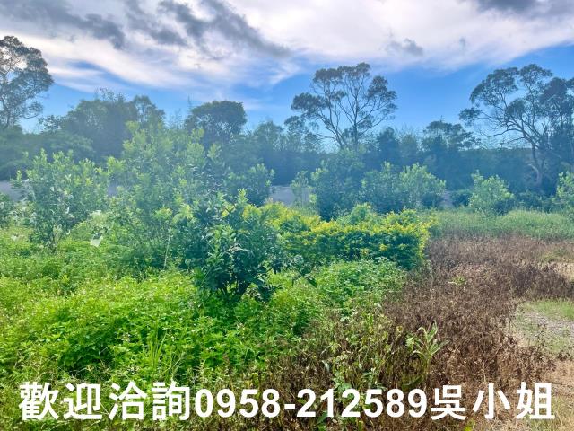 新竹新埔山坡地_休閒地-5