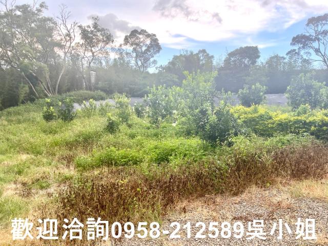 新竹新埔山坡地_休閒地-6