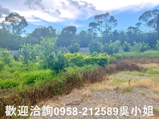 新竹新埔山坡地_休閒地-8
