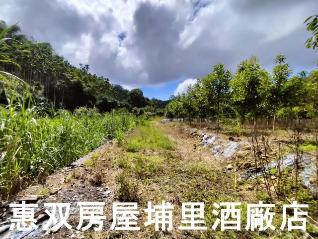 埔里農地-2