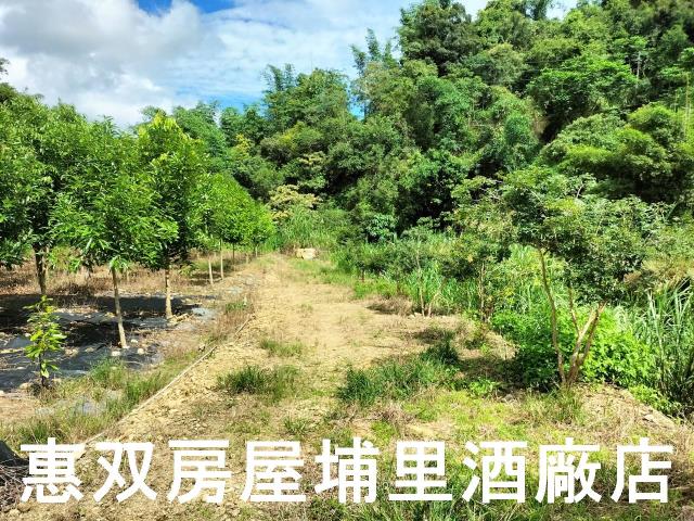 埔里農地-5
