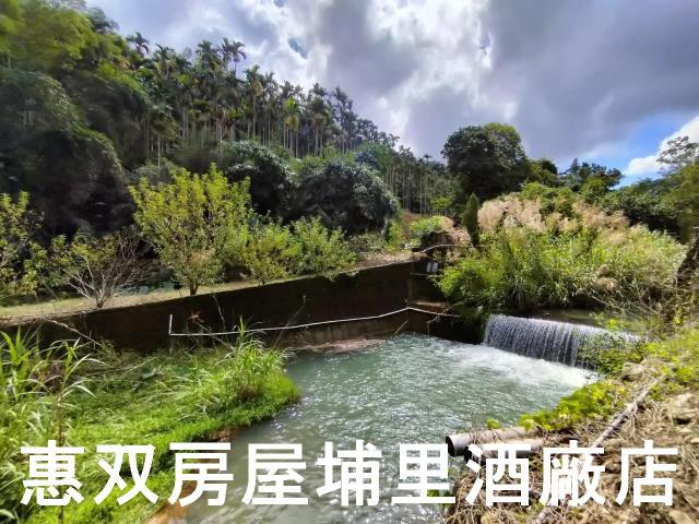 埔里農地-6