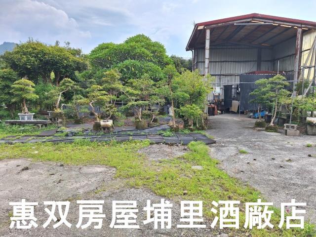 埔里農地_休閒地-2