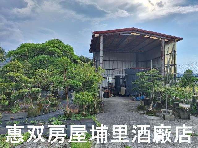 埔里農地_休閒地-3