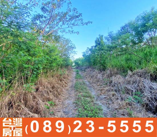 鑽石台東土地買賣