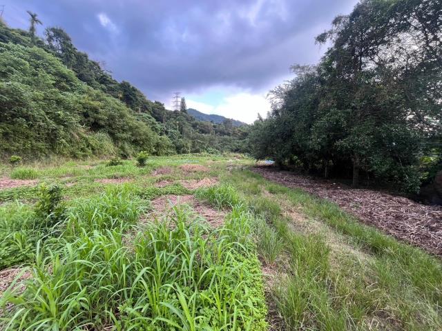 南投山坡地-10