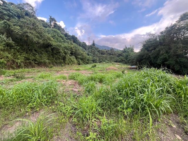 南投山坡地-13
